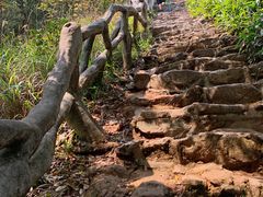 -梧桐山风景名胜区