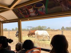 -威勒比开放式动物园