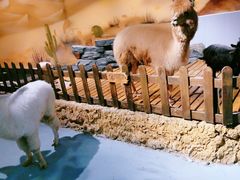-天津zoonly动物主题公园
