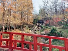 -大连植物园