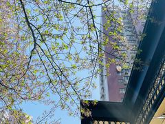 -玛格萝妮比萨屋(四平店)