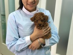 -纳吉亚猫专科动物医院博雅分院
