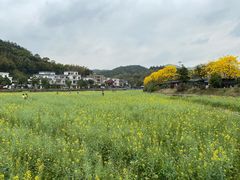 -红山村