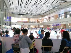 -冰堡国际溜冰场(观澜湖新城MHMALL店)