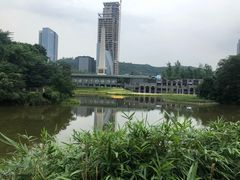 -百林公园-两江幸福广场
