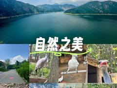-燕塞湖鸟语林景区