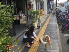 -普吉镇