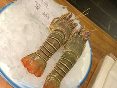 -甄品麦哲伦海鲜和牛自助(万达广场店)