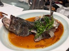 石斑鱼-琼菜王(南海店)