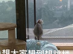 -李常在重庆火锅(合川总店)