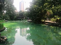 -静安公园(静安寺街道)