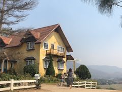 -黄色小屋