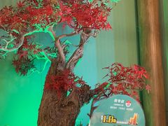 -筱爷叔·上海传统手工菜(玉树路店)