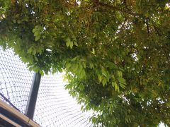 -天河体育中心篮球城