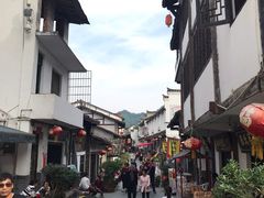 -后柳水乡