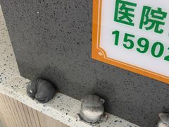 -半岛宠物医院24小时(白果林店)