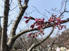 -玄武湖景区-情侣园游乐场