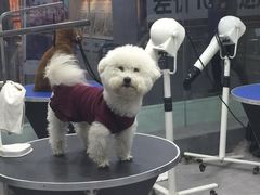 -宠物世家(仲盛世界商城店)