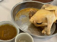 -芭厘农庄老字号·清远鸡