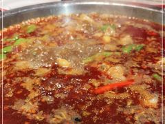 -蜀滋香鲜鱼美蛙火锅(339店)