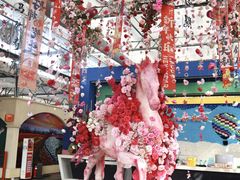 -荷兰花海
