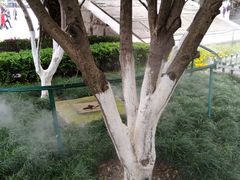 -八一南昌起义纪念塔