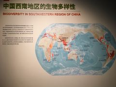 -四川大学博物馆