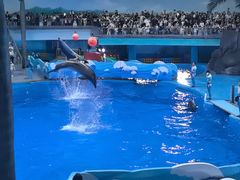 -海合安成都极地海洋公园