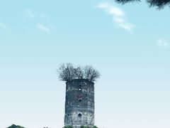 -江心屿景区