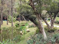 -人民公园(罗湖区)