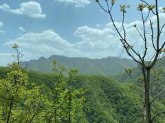 -牛背梁国家森林公园