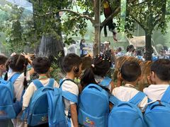 -北京市丰台区阳光起点锦城幼儿园(丰台园)