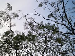 -白沙门生态公园
