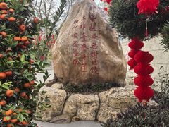 -国恩寺