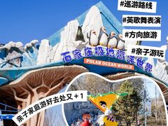 -石家庄极地海洋世界