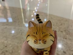 -酷乐潮玩(颛桥万达店)