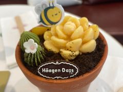 -哈根达斯(上海金山店)