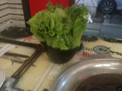 -石记东北风味烤肉(系马桩第二分店)