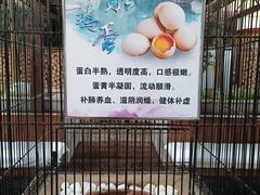 -固安来康郡来康温泉