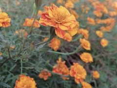 -isee心呈·度假酒店(春熙路店)