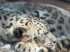 -青藏高原野生动物园