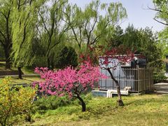 -元大都城垣遗址公园