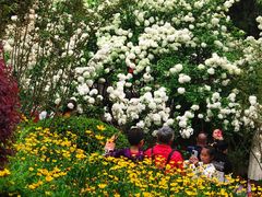 -铁山坪森林公园