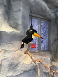 -Zoolung Zoolung动物主题公园(海信广场店)