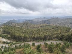 -御道口草原森林风景区