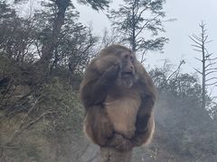 -峨眉山风景名胜区