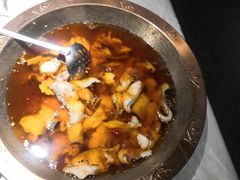 -雲蜀龙阁·金牌水煮鱼(方庄店)