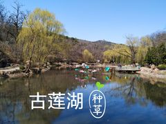 -棒棰岛宾馆景区