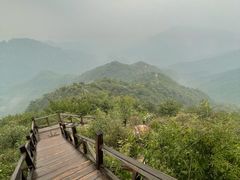 -大岭沟猕猴桃谷风景区