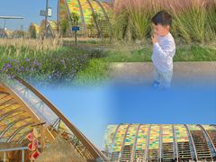 -中国天府农业博览园